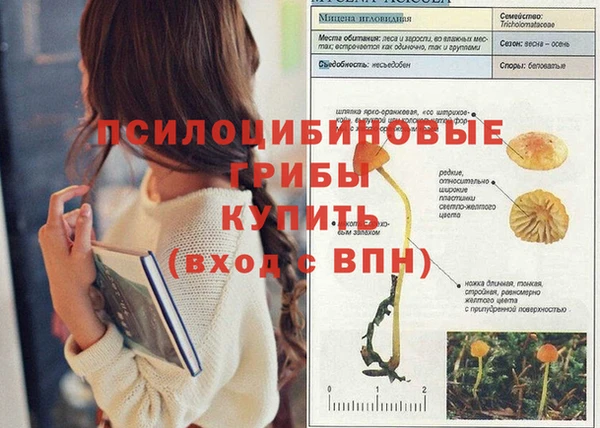 каннабис Володарск